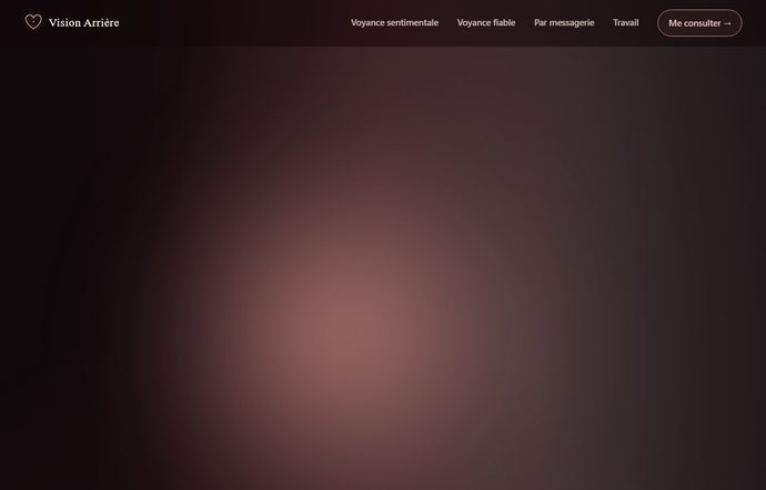Page d'accueil de visionarriere.com